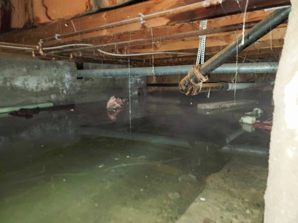 Best Emergency water damage restoration  in Toledo, IL