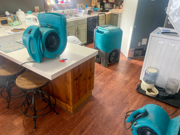 Best 24/7 water damage repair  in Toledo, IL