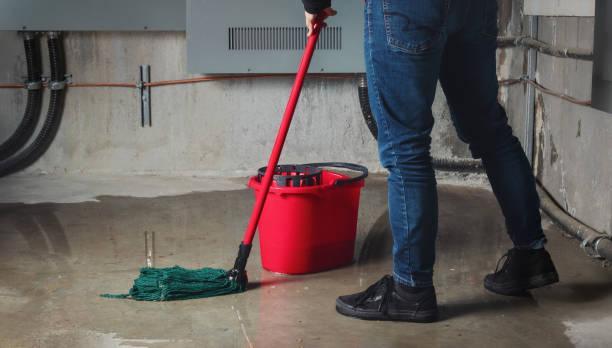 Best Local water damage restoration  in Toledo, IL