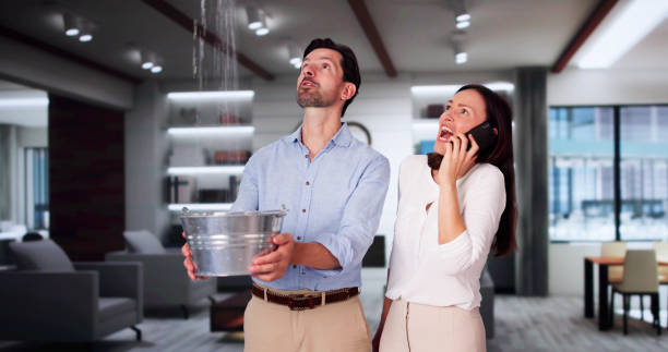 Reliable Toledo, IL Water damage restoration Solutions
